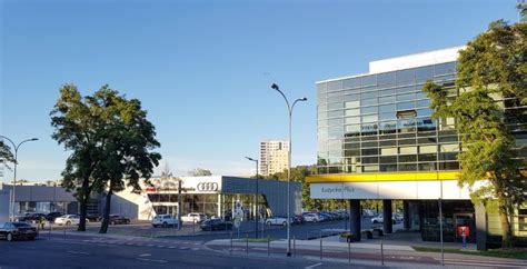 synexus gdynia łużycka.
